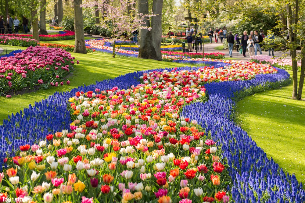 باغ گل کوکنهوف در هلند