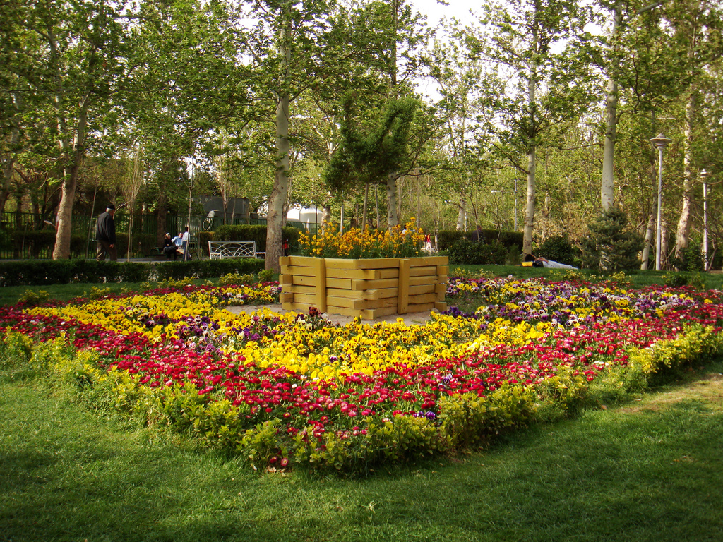 گلها در پارک لاله